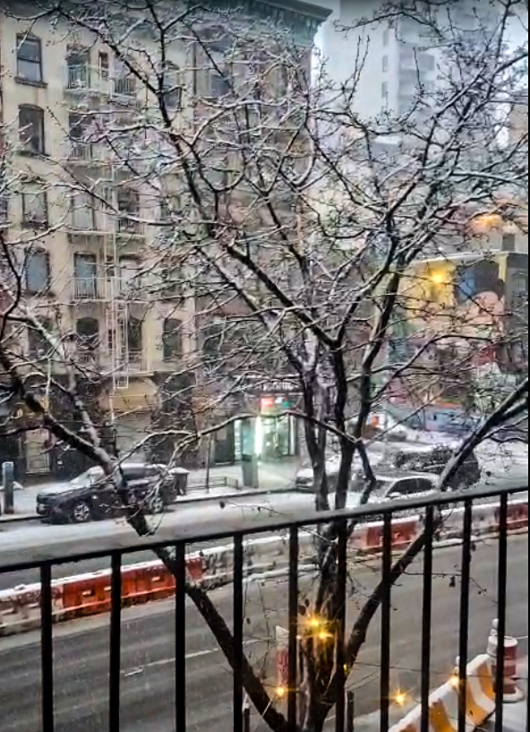 EAST VILLAGE, THE BOWERY and BROOKLYN BRIDGE MEMOIRS. by Mark Tunstall