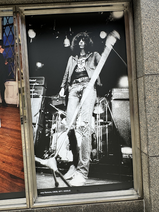 ROOTS OF THE PUNK BEAT PUNK GENERATION, PART ONE