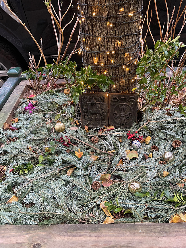The Joy of Urban Gardening